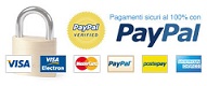 Immagine inerente al sistema di pagamento PayPal, Carta Prepagata o Carta di Cedito